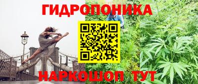 мяу мяу мука Беслан