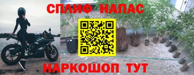 спиды Бийск