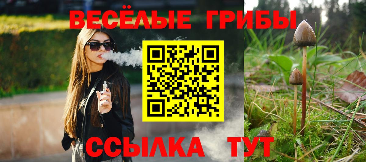 Галлюциногенные грибы GOLDEN TEACHER  Вход с VPN  Великие Луки 
